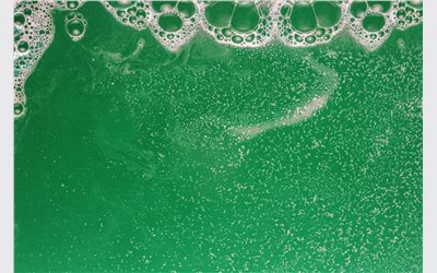 Clear Maxx - Green Pool Water Clarification Pool Flocculant